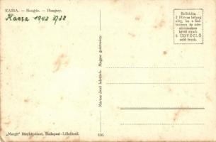 8 db régi magyar és történelmi magyar városképes lap (Kassa, Munkács, Palicsfürdő, Szabadka, Ungvár,...