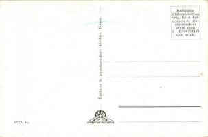 8 db régi magyar és történelmi magyar városképes lap (Kassa, Munkács, Palicsfürdő, Szabadka, Ungvár,...