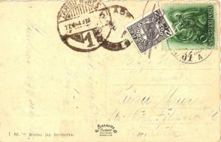 8 db régi magyar és történelmi magyar városképes lap (Kassa, Munkács, Palicsfürdő, Szabadka, Ungvár,...