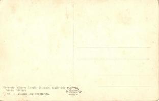 8 db régi magyar és történelmi magyar városképes lap (Kassa, Beregszász, Boldva, Csáktornya, Görömbö...