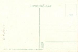 Szatmárnémeti, Satu Mare; látkép / general view