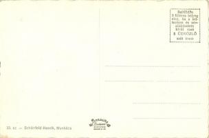 Munkács, Mukacheve, Mukacevo; Strand részlet, fürdőzők, ugródeszka. Schönfeld Henrik kiadása / swimm...