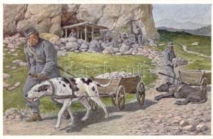 Military dogs pulling-dogs