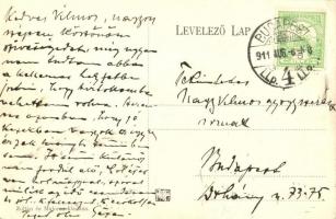 Kiskőrös, Petőfi Sándor szülőháza, magyar zászló. Zoltán és Majoros kiadása (EK)