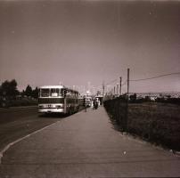 cca 1970 Autóbusz közlekedés Budapesten, 1 db vintage fotó + 2 db vintage negatív, 6x6 cm és 9x12 cm