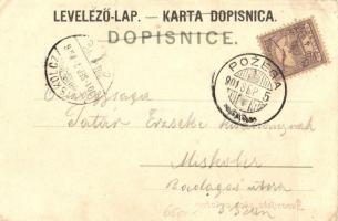 Pozsega, Pozega; Zupanijska ulica / utcakép / street view (EK)