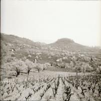 1967 Tihanyi-félsziget, Belső tó és környéke, a félsziget tájképei és élővilága, 44 db szabadon felh...