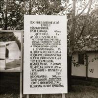 cca 1965 Sinka Antal (?-?) hagyatékából (aki a velencei AGROKOMPLEX fotósa volt az 1960-as, 1970-es ...