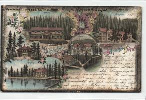 1899 Thurzófüred Litho (EK)