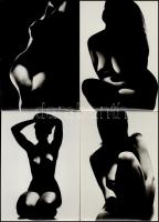 cca 1960 Miroslav Stibor 12 db-os művészi aktfotó sorozata, 17,5x12,5 cm