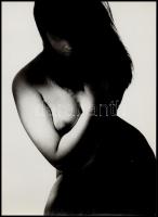 cca 1960 Miroslav Stibor 12 db-os művészi aktfotó sorozata, 17,5x12,5 cm