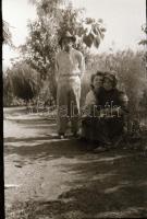 1958-1963 Balatonfüred és Fonyód-Bélatelep, ismeretlen család hagyatékából előkerült 4 tekercs felir...