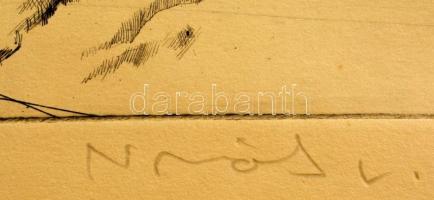 Novák Lajos (1927-1989): Dunapart I., rézkarc, papír, jelzett, számozott (100/94), 29,5×39,5 cm