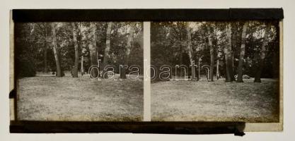 cca 1920 Sztereo üveglemez negatívok és pozitív képek, sokféle témáról, 36 db vintage képpár egy jóm...