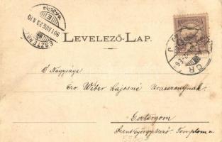 Győr, Püspökvár a Duna felől, híd. Berecz Viktor kiadása (EK)