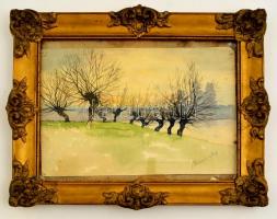 Mednyánszky jelzéssel: Kopár fák. Akvarell, papír, üvegezett keretben, 20×30 cm