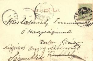 Rimaszombat, Rimavská Sobota; Blaha Lujza szülőháza. Lévai Izsó kiadása / birth house of famous Hung...