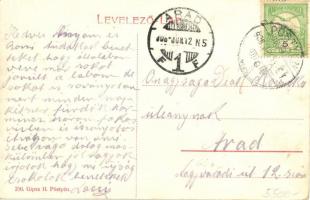 Pöstyén, Pistyan, Piestany; Egy liptómegyei paraszt feleségét tolókocsin a fürdőbe viszi, üzlet a há...