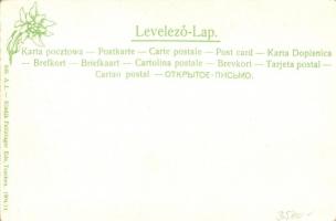 Szepesbéla, Spisska Bela; Római katolikus templom, harangtorony és városháza. Feitzinger Ede 696. / ...