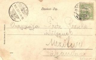 Pöstyén, Pistyan, Piestany; Ferenc József út, Zöldfa szálloda. Bernas L. kiadása / Franz Josef-stras...