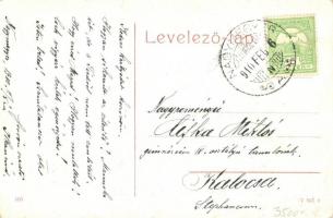 Nagymegyer, Velky Meder; Szent Elzear iskola és zárda / school and priory, convent (kis szakadás / s...