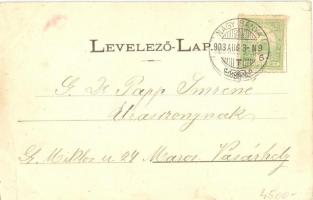 Nagybánya, Baia Mare; Vár utca, templom. Molnár Mihály kiadása / street view, church (ázott sarok / ...