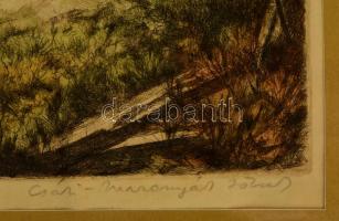 Csáki-Maronyák József (1910-2002): Varsahalászok. Színezett rézkarc, papír, jelzett, üvegezett keret...