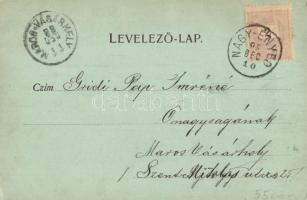 1899 Nagyenyed, Aiud; Kir. orsz. fegyintézet gyáraival, börtön / prison, jail and it's factory ...