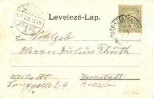 Vízakna, Salzburg, Ocna Sibiului;  Sósgyógyfürdő, a nagy zöld sós tó, fürdőház. Verlag Karl Graef / ...