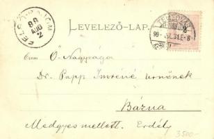 1899 Temesvár, Timisoara; Kossuth Lajos utca, Takarékpénztár, üzletek. Moravetz Gyula kiadása, Ateli...