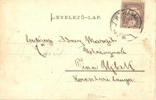 Nagyszeben, Hermannstadt, Sibiu; Der I. Omnibus der neuen elektrischen Strassenbahn. Bahnhof-Schewis...