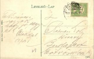 Pancsova, Pancevo; Ferenc József tér, piaci árusok, üzletek, sörcsarnok. Kohn Samu kiadása / square,...