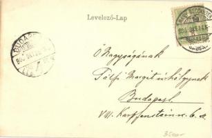 Nagybecskerek, Zrenjanin, Veliki Beckerek; Hunyady utca, Galler üzlete, templom / street view, shops...