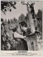 cca 1960-1970 5 db Latinovits-film filmfotója, 24×18 cm