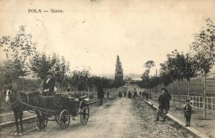 Pola, Pula; Siana (Sijana) / utcakép, lovaskocsi, hintó. G. Fano 1908. / street view, horse-drawn carriage, chariot (EK)