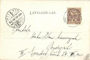 1900 Pancsova, Pancevo; Temesquai Bahnhof / Temes-parti vasútállomás, gőzmozdony, tömeg / Timis rive...