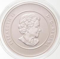 Kanada 2012. 20$ Ag "II. Erzsébet / Szarvas" T:PP Canada 2012. 20 Dollars Ag "Elisabeth II / Stag" C:PP
