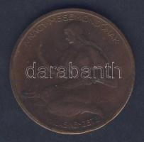 1925. "Jókai Mór" Br emlékérem. Szign:Berán T:2