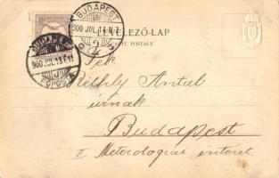 Magyarország. A m. korona országainak egyesített címere. Földrajzi kiadása I. sorozat (tulajdonos St...