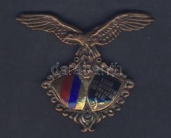 "Turul madár" egyetemi jelvény T:2
