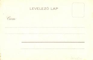 Választási emlék 1901-ből: Száz kortes egy sorba, zászlót lobogtatva... Mi kell a magyarnak? / Hunga...