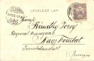 Száz liba (pardon) leány egy sorba, Mennek a templomba... humoros művészlap / Hungarian humorous art...