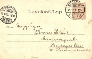 1899 Magyar cigánylány. Vidéki Félix kiadása. Kosmos  / Ung. Zigeunerschönheit / La belle Tzigane / ...