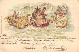 1899 Pig ladies bathing. Louis Glaser litho (EK)