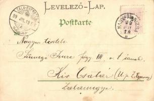 1899 Pig ladies bathing. Louis Glaser litho (EK)