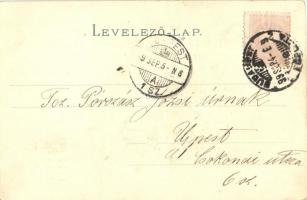 1899 Frogs riding snail-back, humor. litho (EK)