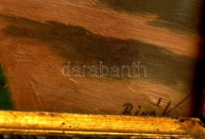 Biró jelzéssel: Parasztház udvar. Olaj, karton, üvegezett sérült keretben, 18×24 cm