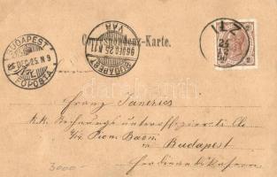 1896 (Vorläufer!) Hochgenuss beim Bier. Argernuss das Katerthier / cats in the beer barrel, humor. L...