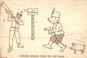 Serbische Schweine dürfen hier nicht herein / Serbian pigs are not allowed here WWI Austro-Hungarian K.u.K. military humor. Chromo Lith. Kunstanstalt Georg Wagrandl No. 101. (EK)