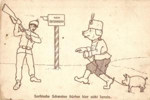 Serbische Schweine dürfen hier nicht herein / "Serbian pigs are not allowed here" WWI Austro-Hungarian K.u.K. military humor. Chromo Lith. Kunstanstalt Georg Wagrandl No. 101. (EK)